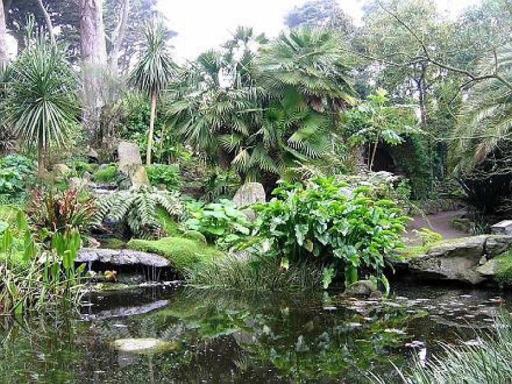 130 Ile de Batz Jardin Georges Delaselle_000020.jpg